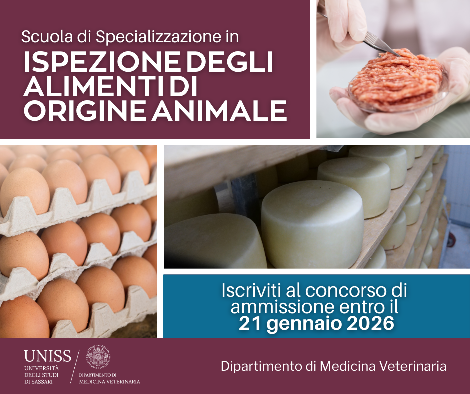 Locandina del Concorso di ammissione alla scuola di specializzazione in Ispezione degli alimenti di origine animale