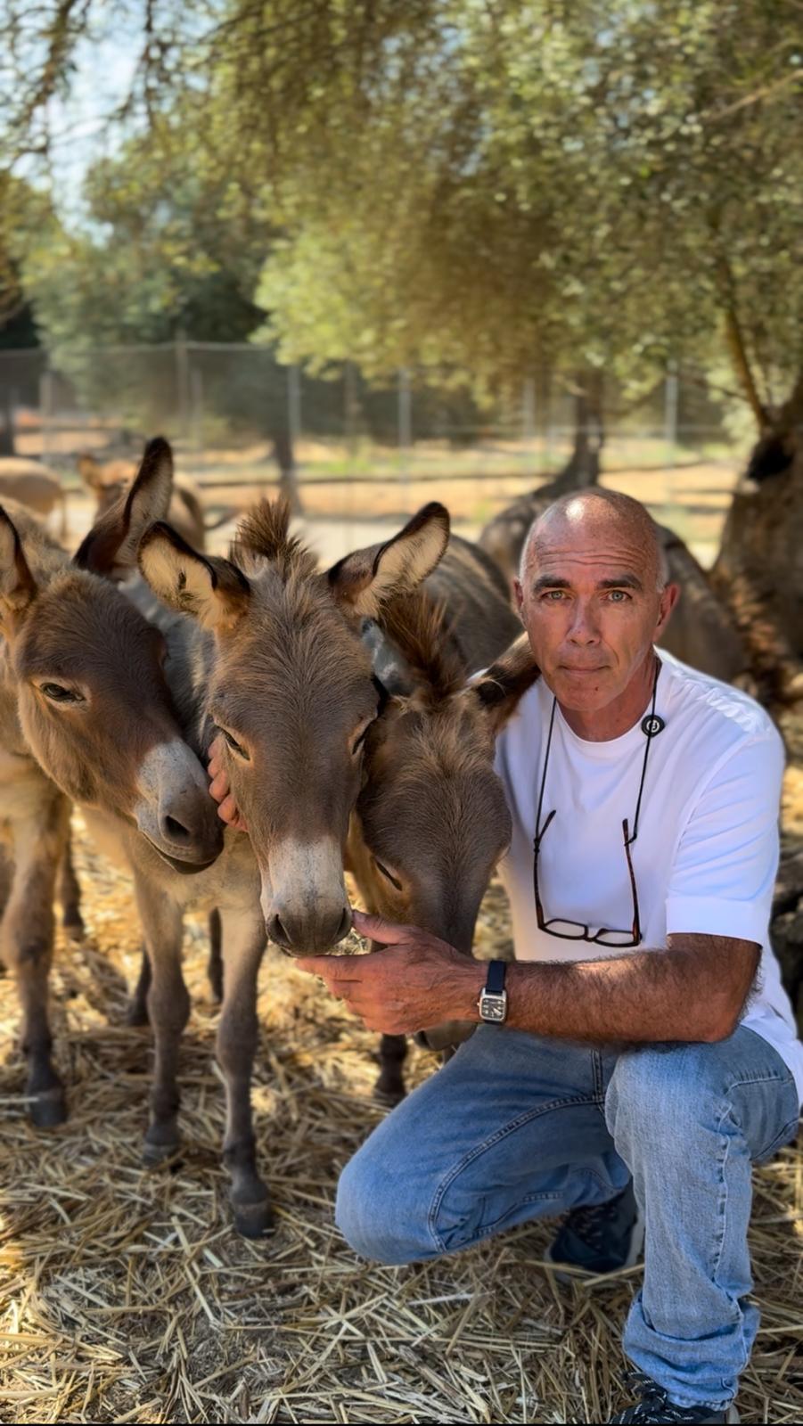 Il Prof. Sanna Passino con glia asinelli del Dipartimento di Medicina Veterinaria