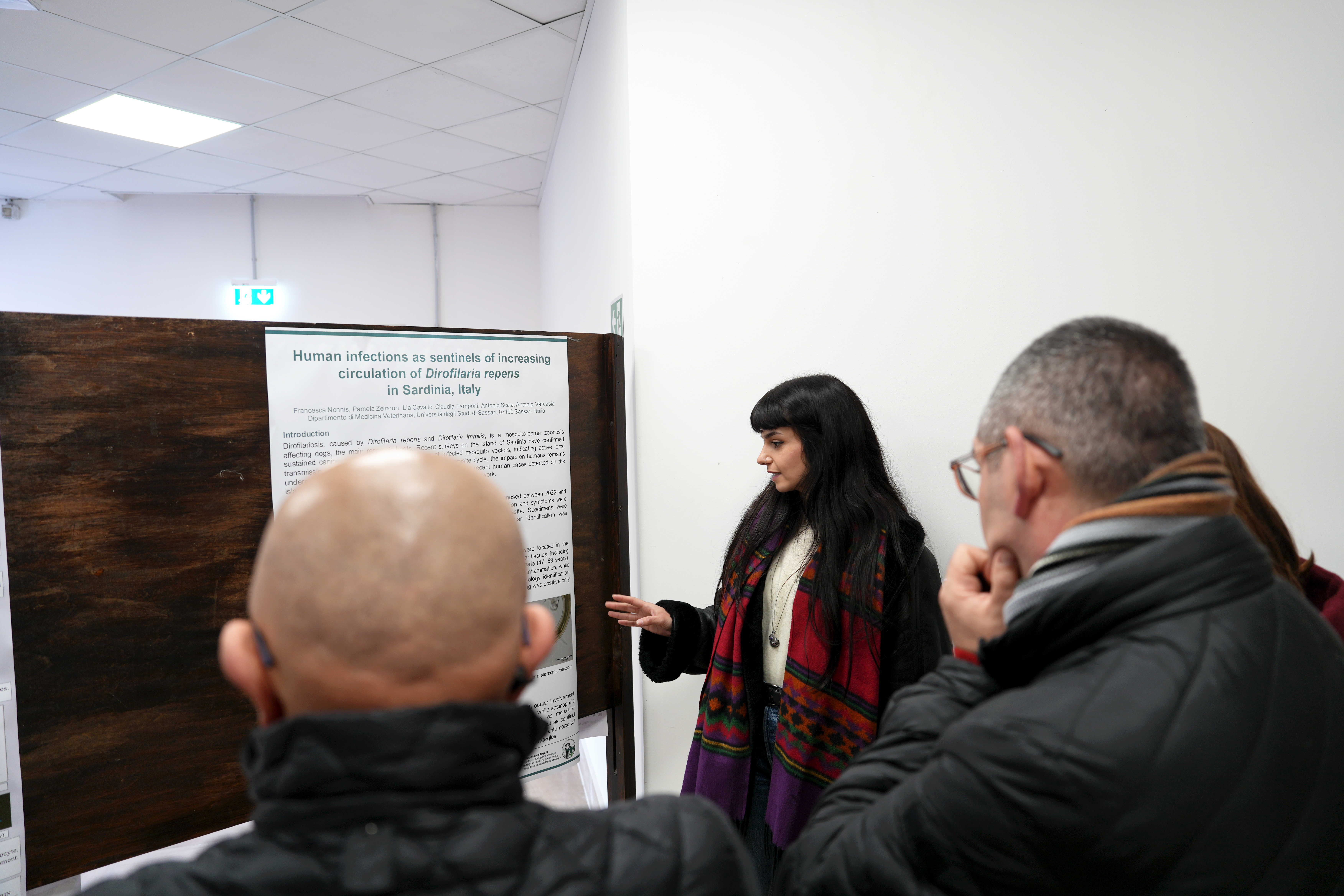 Presentazione dei poster scientifici durante la Giornata del Dottorato di ricerca in Scienze veterinarie