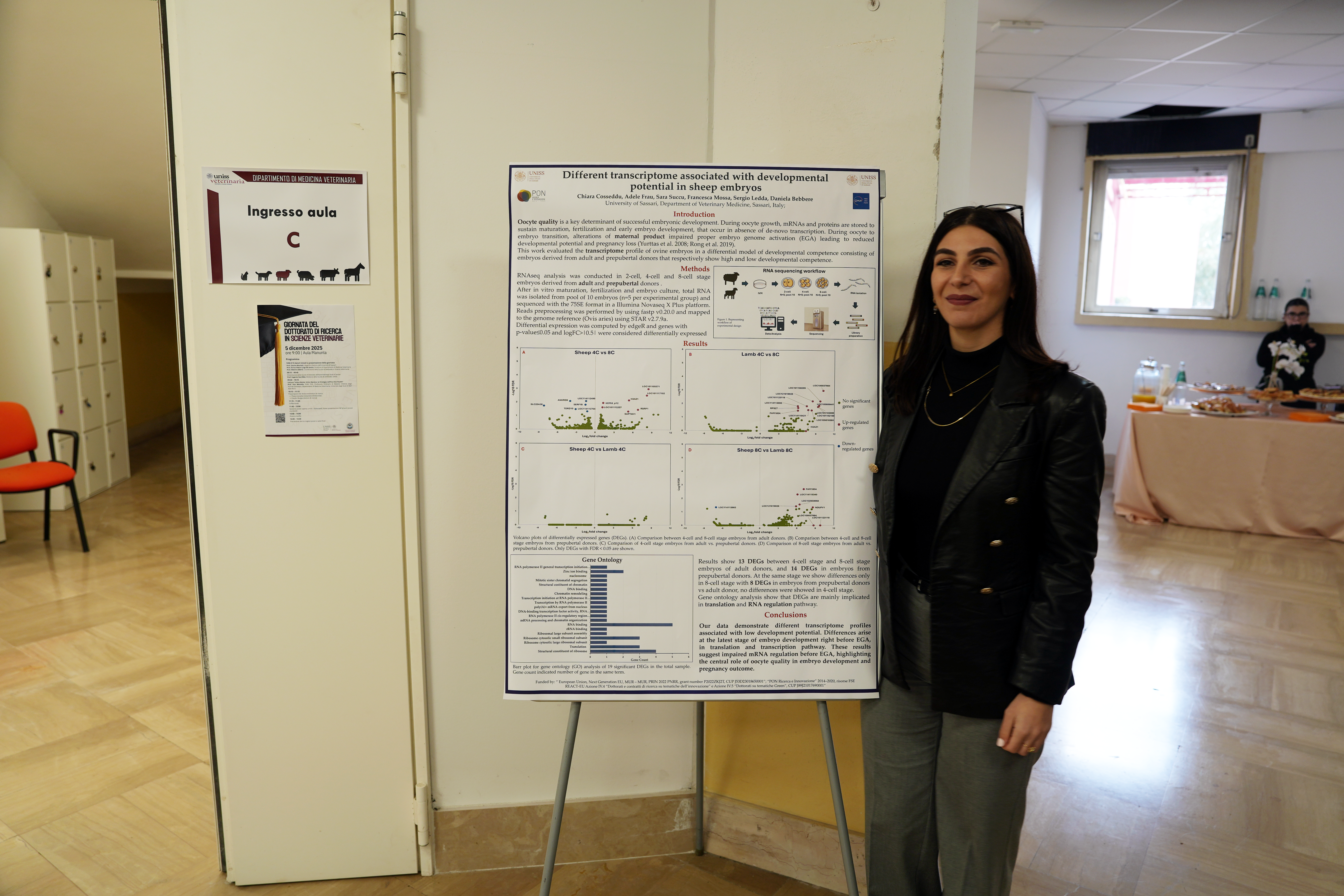 Presentazione dei poster scientifici durante la Giornata del Dottorato di ricerca in Scienze veterinarie