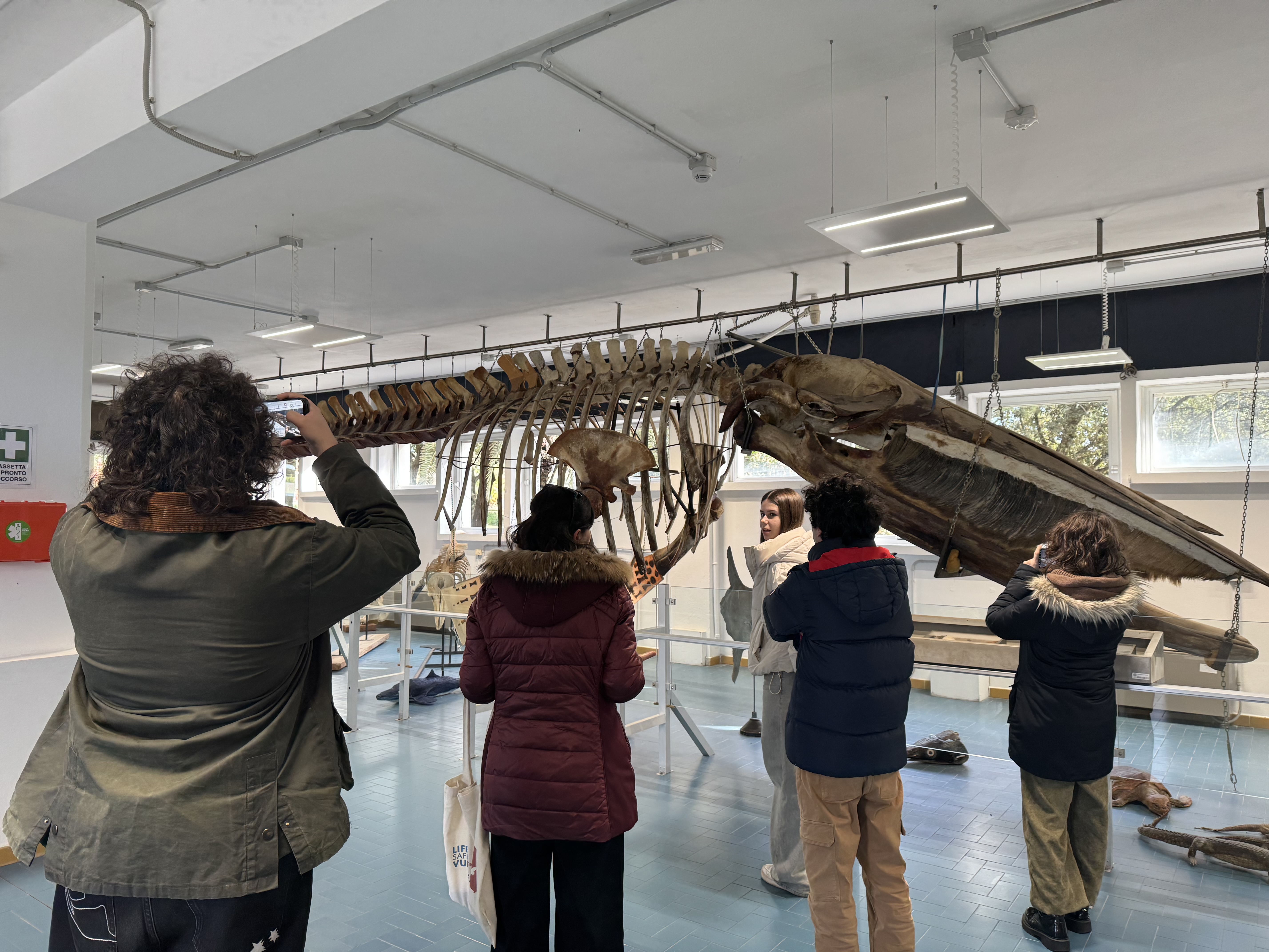 Gruppo di studenti osserva e fotografa lo scheletro di una balena esposto in un'aula del Dipartimento di Medicina Veterinaria dell'università di Sassari