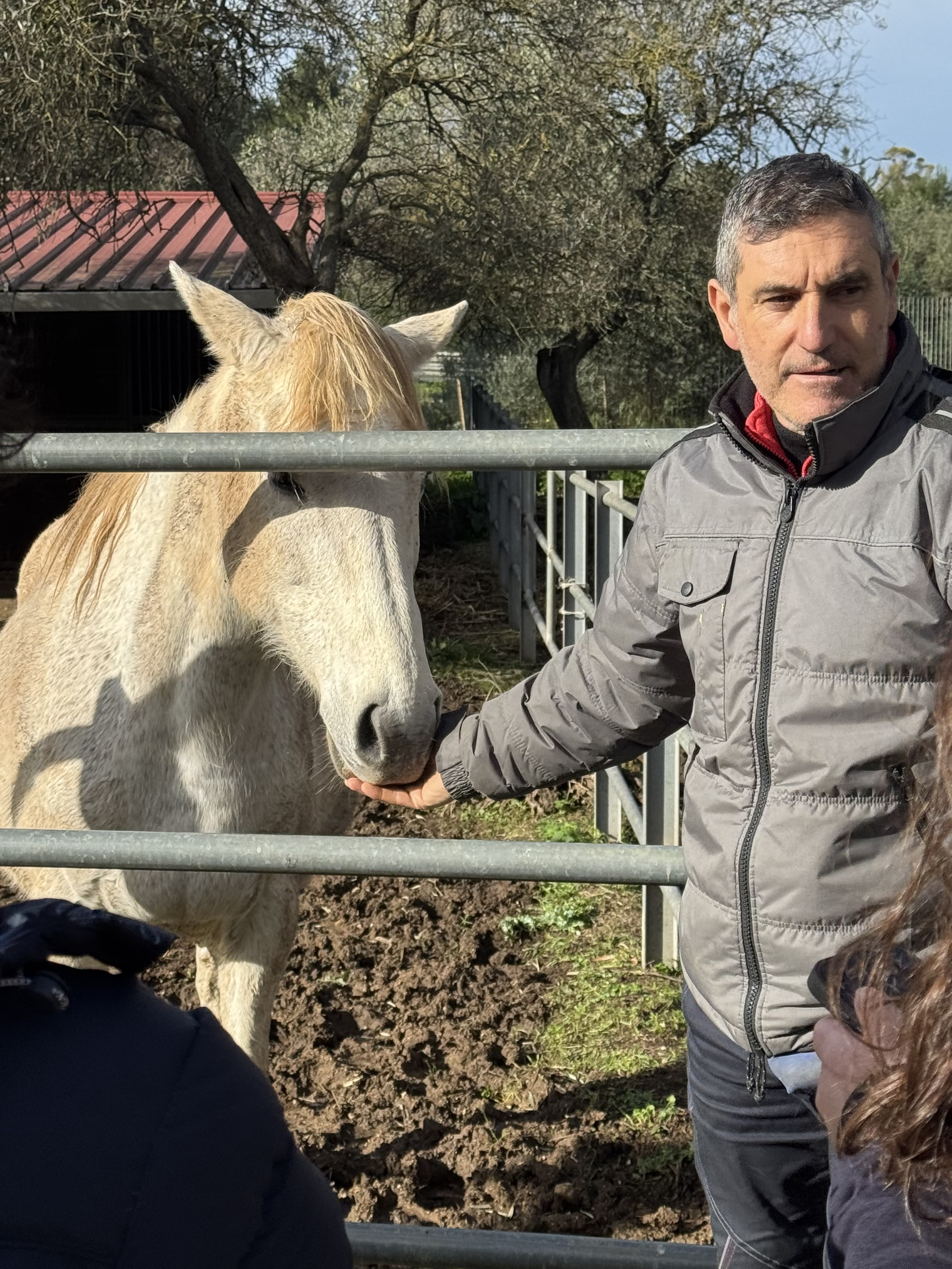 Operatore del Dipartimento di Medicina Veterinaria accarezza un cavallo mentre parla agli studenti