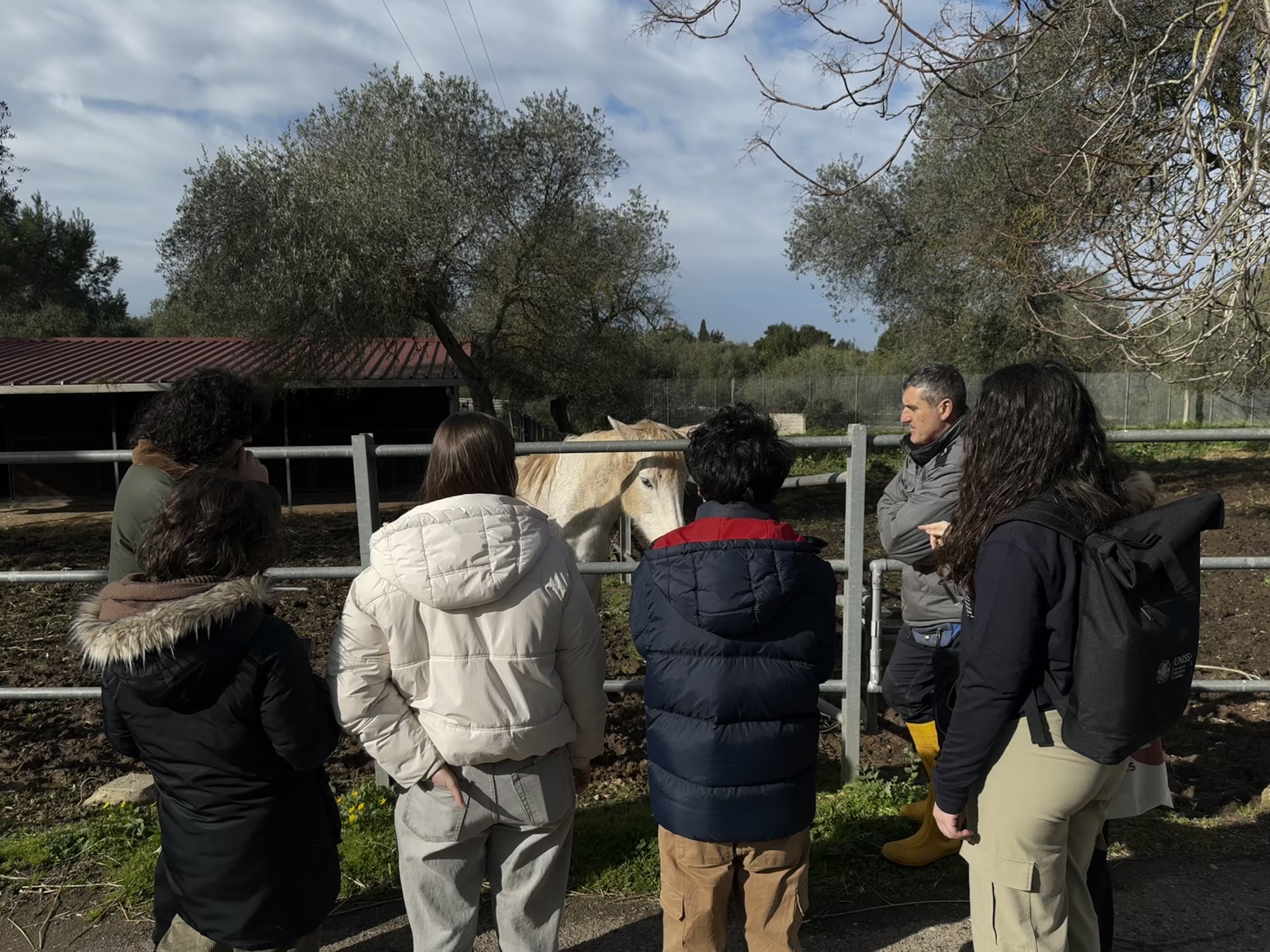 Un gruppo di studenti osserva i cavalli presenti nei paddock degli animali del Dipartimento di Medicina Veterinaria di Sassari