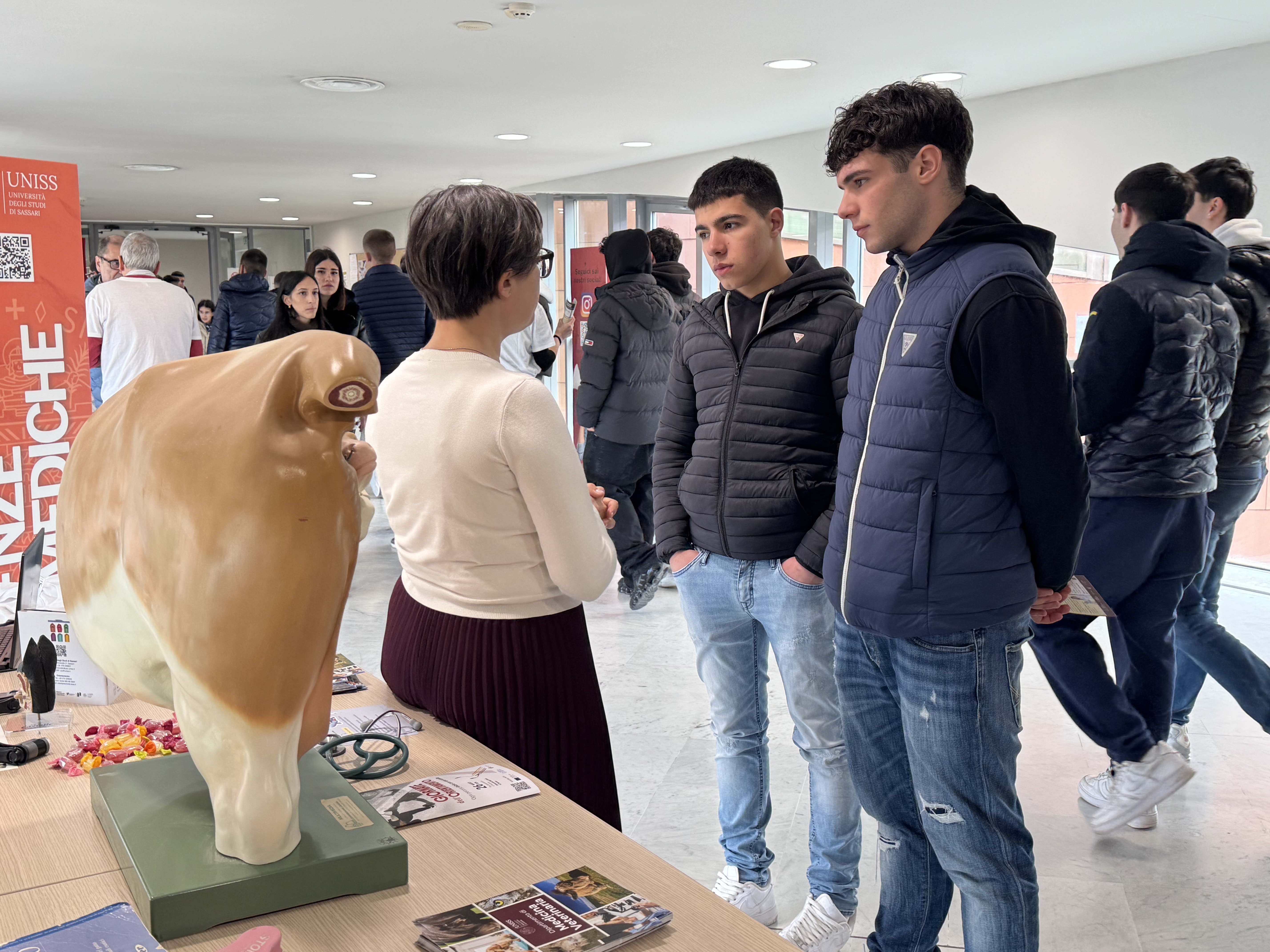 Docente del Dipartimento di Medicina veterinaria durante le Giornate dell'Orientamento 2026 mentre parla con alcuni studenti delle scuole superiori