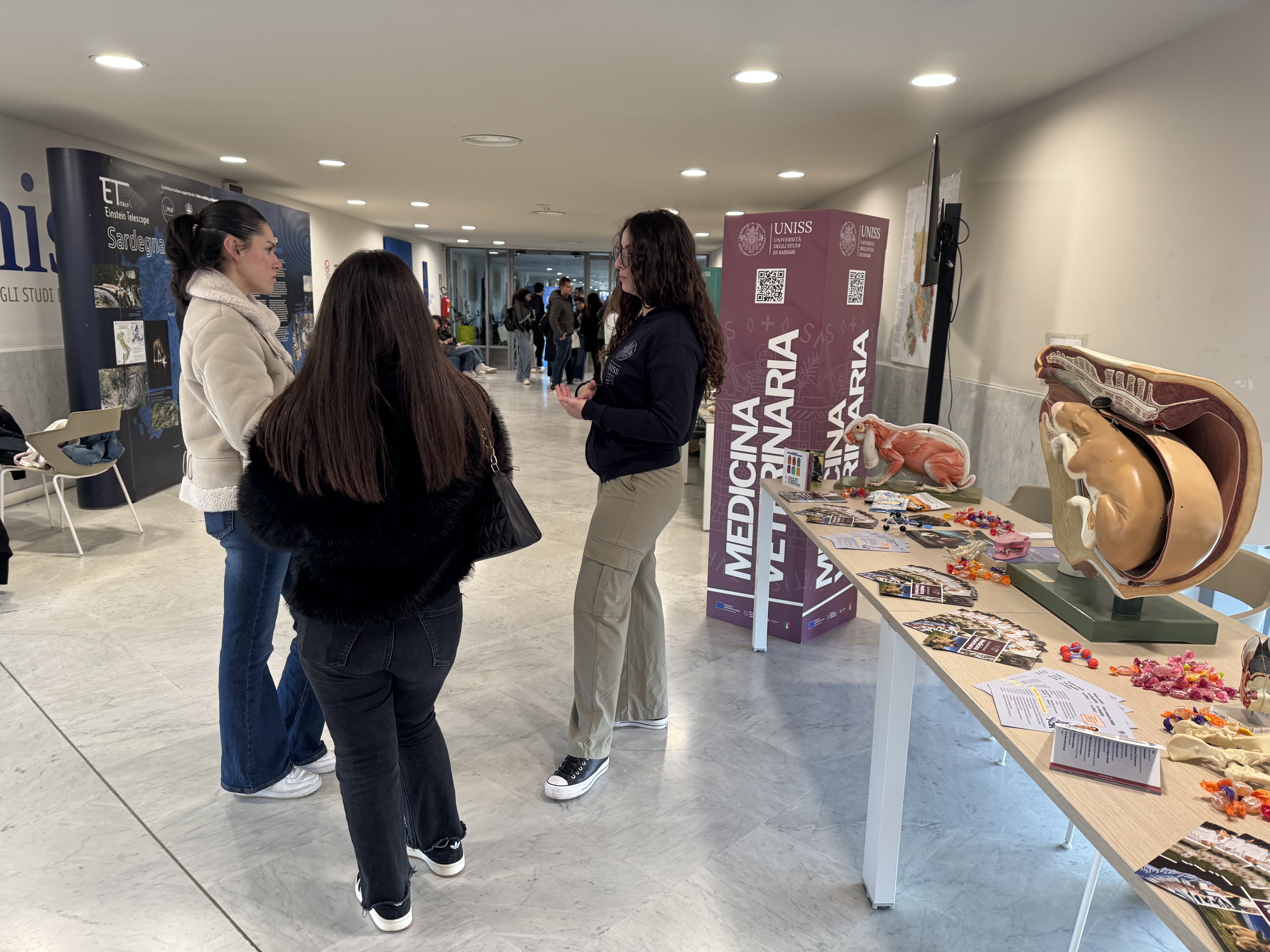 Studenti del Dipartimento di Medicina Veterinaria di Sassari durante le Giornate dell'Orientamento