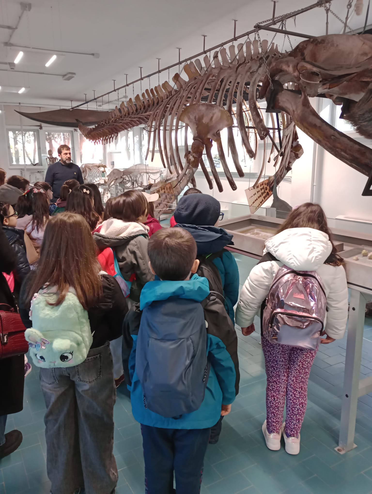 Classe della scuola primaria osserva lo scheletro della balena nel museo del Dipartimento di Medicina Veterinaria dell’Università di Sassari