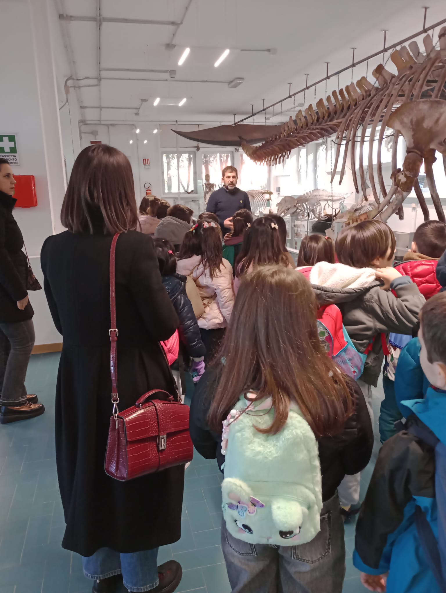 Classe della scuola primaria osserva lo scheletro della balena nel museo del Dipartimento di Medicina Veterinaria dell’Università di Sassari