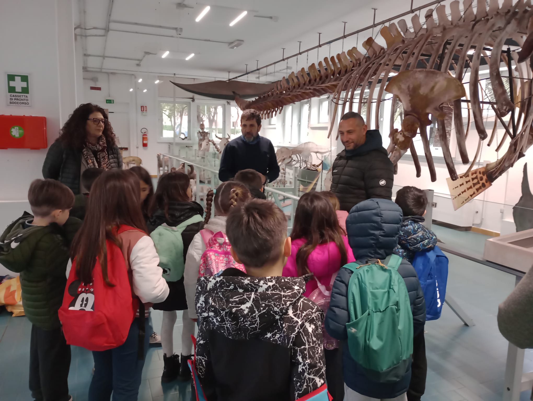 Classe della scuola primaria osserva lo scheletro della balena presente nell'aula balena del Dipartimento di Medicina Veterinaria dell’Università di Sassari