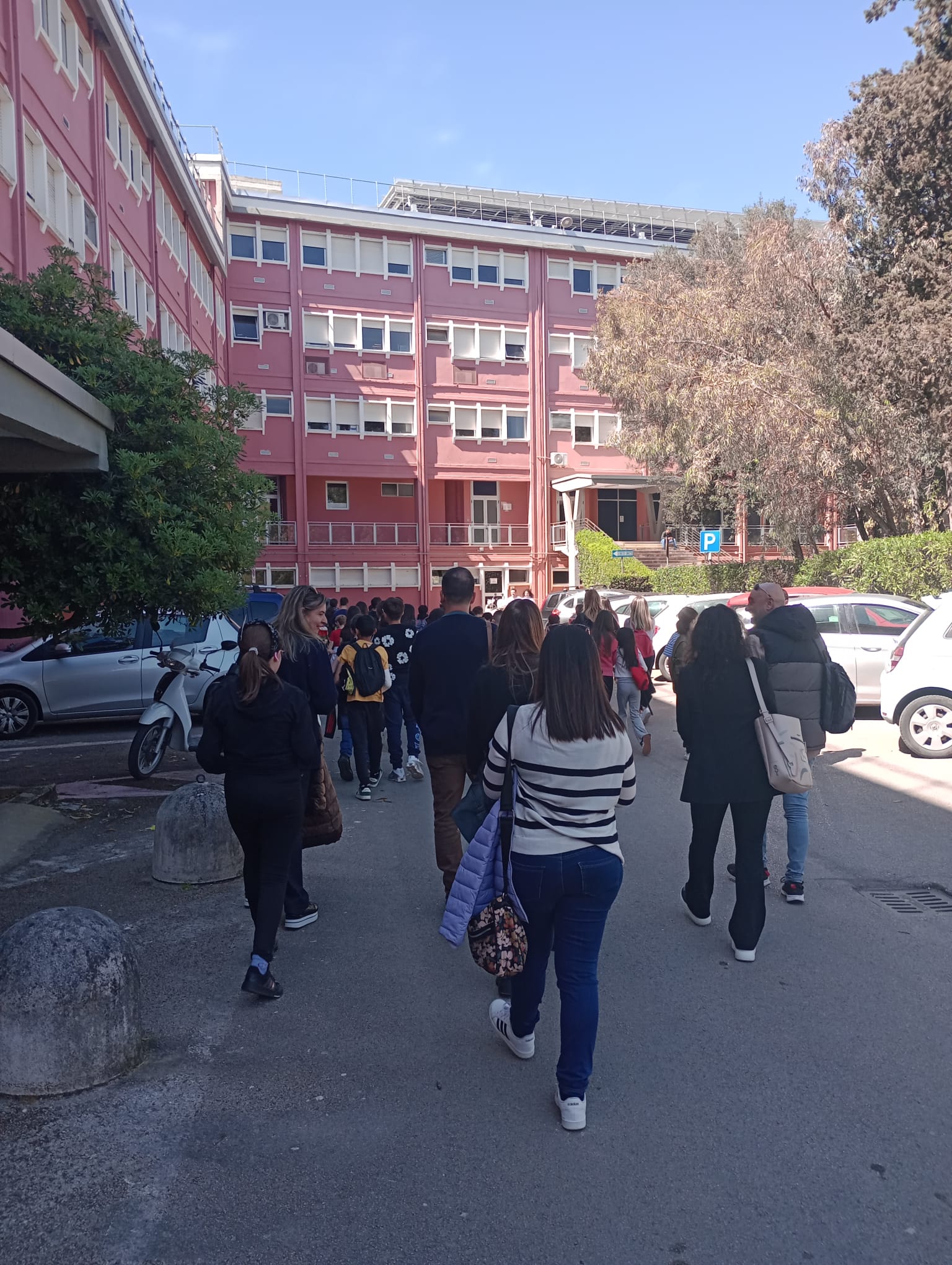 Gruppo di studenti e docenti accompagnatori mentre raggiunge l’ingresso del Dipartimento di Medicina Veterinaria