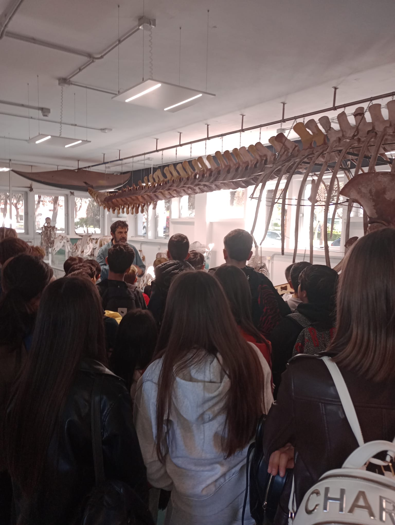 Visita al Museo della Balena con studenti davanti al grande scheletro esposto