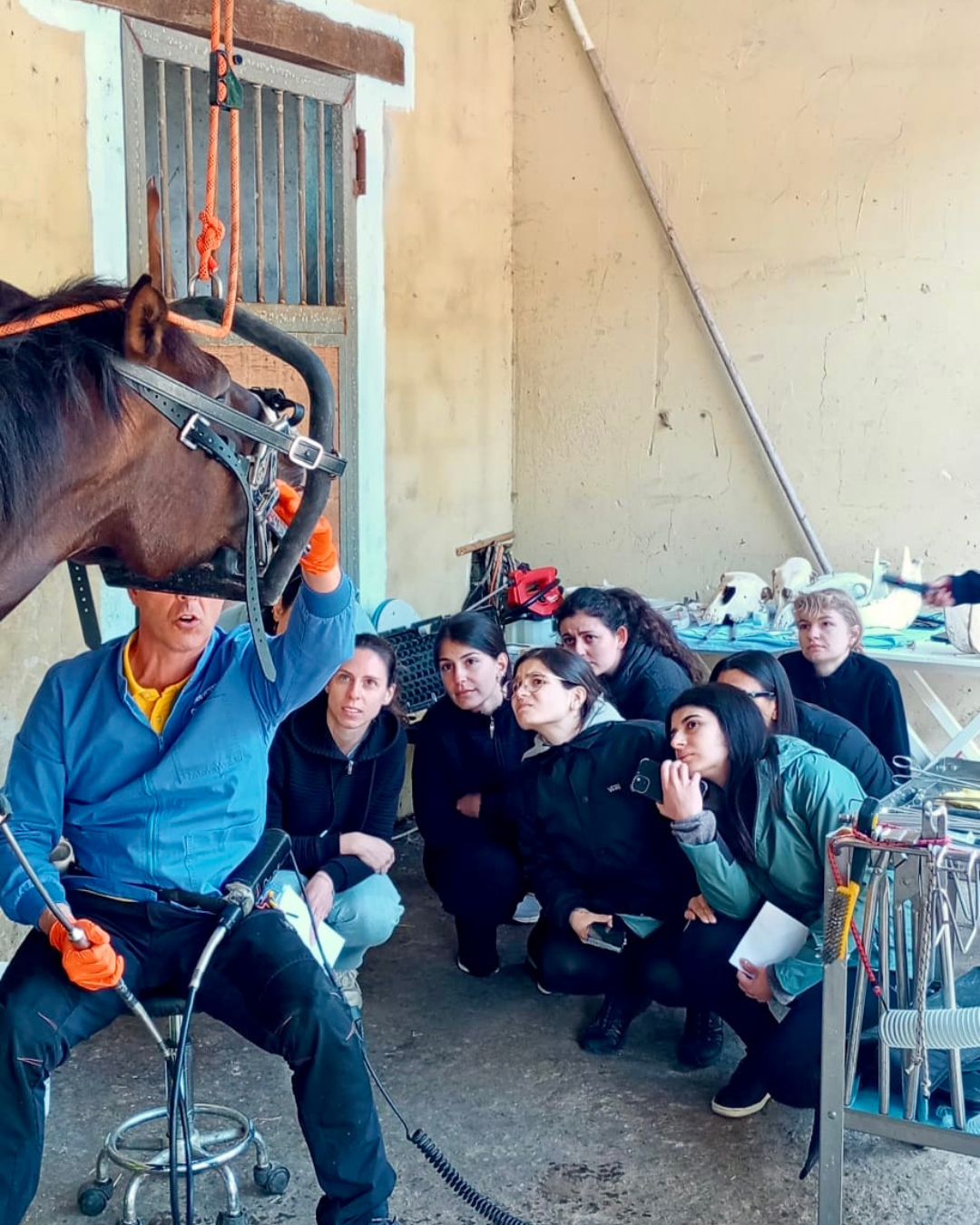 Gruppo di studenti e studentesse osserva una dimostrazione pratica di odontoiatria equina presso il Centro equestre Il Taloro