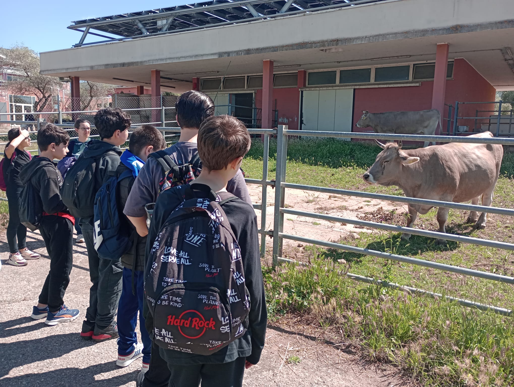 La classe osserva da vicino gli animali alloggiati negli spazi dedicati del Dipartimento di Medicina Veterinaria.