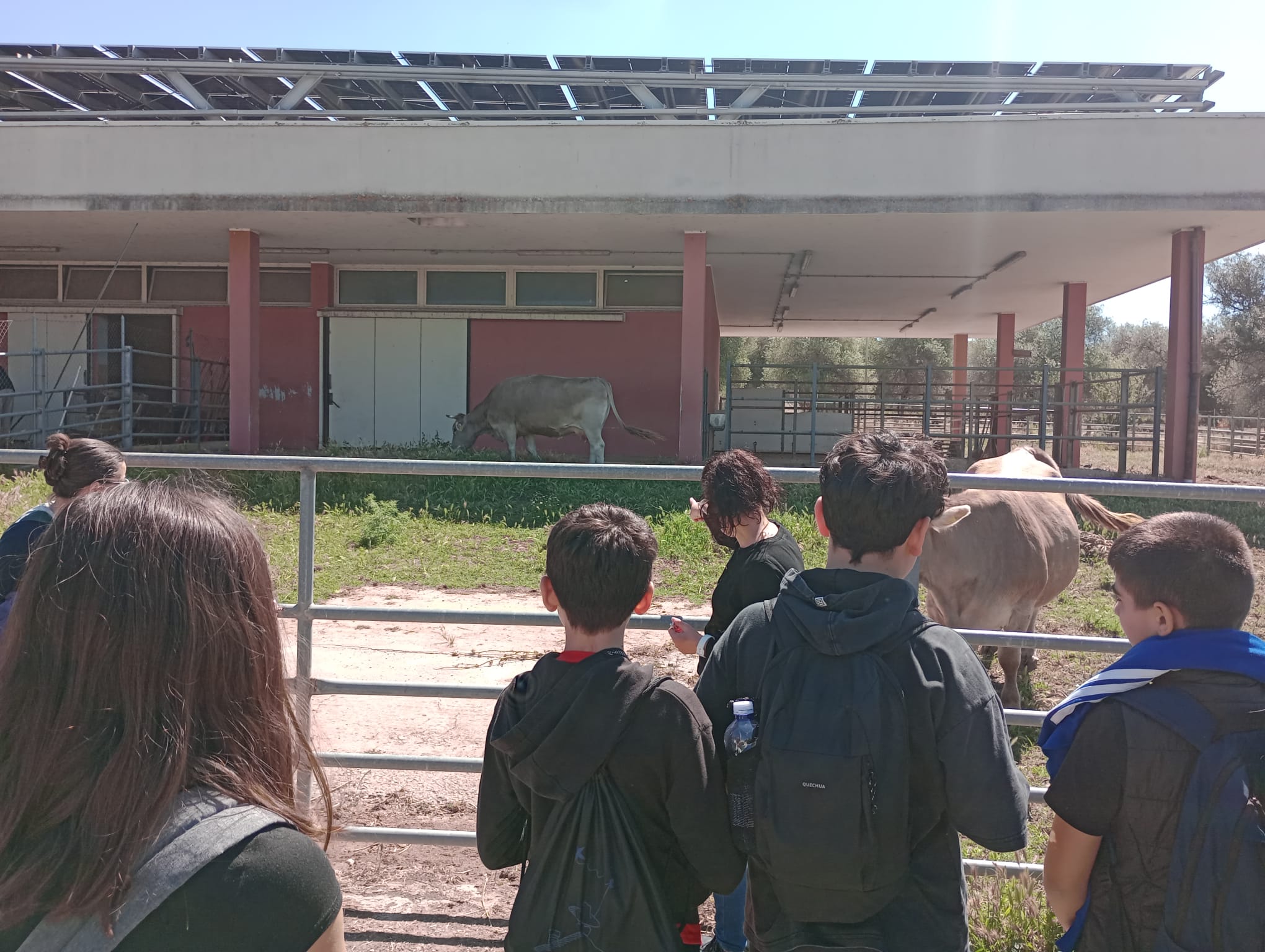 Studenti e studentesse dell’Istituto Comprensivo “Pertini-Biasi” visitano gli spazi esterni del Dipartimento e osservano gli animali presenti nelle aree dedicate.