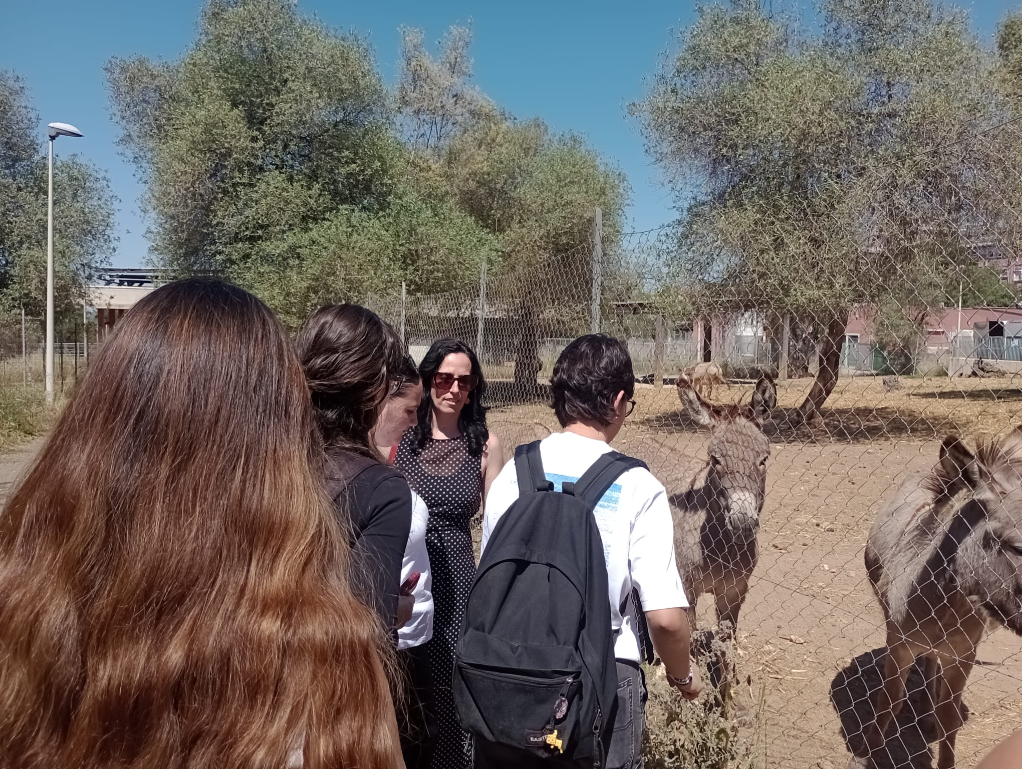 Studenti e studentesse del Dipartimento di Agraria durante la visita agli spazi esterni del DMV dedicati agli animali.