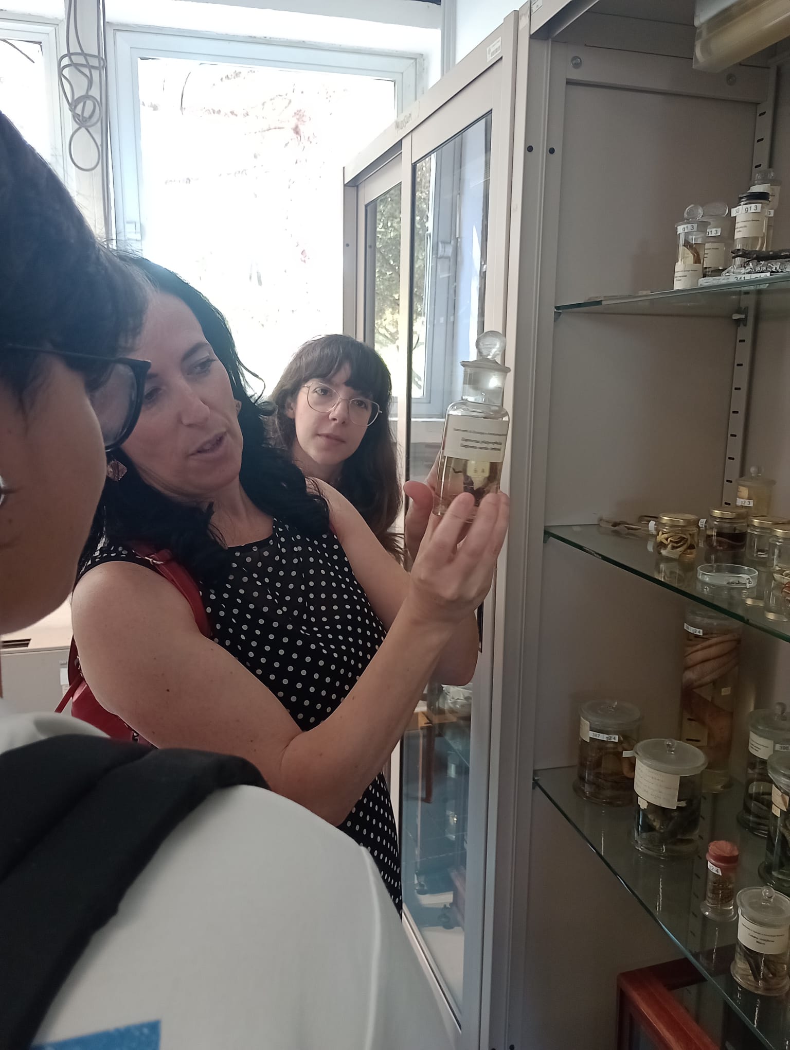 La docente mostra agli studenti alcuni preparati conservati in una vetrina durante la visita al Museo della Balena.