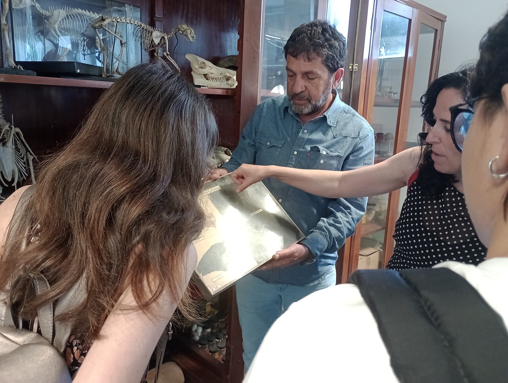 Il gruppo osserva un reperto zoologico illustrato durante la visita guidata al Museo della Balena.