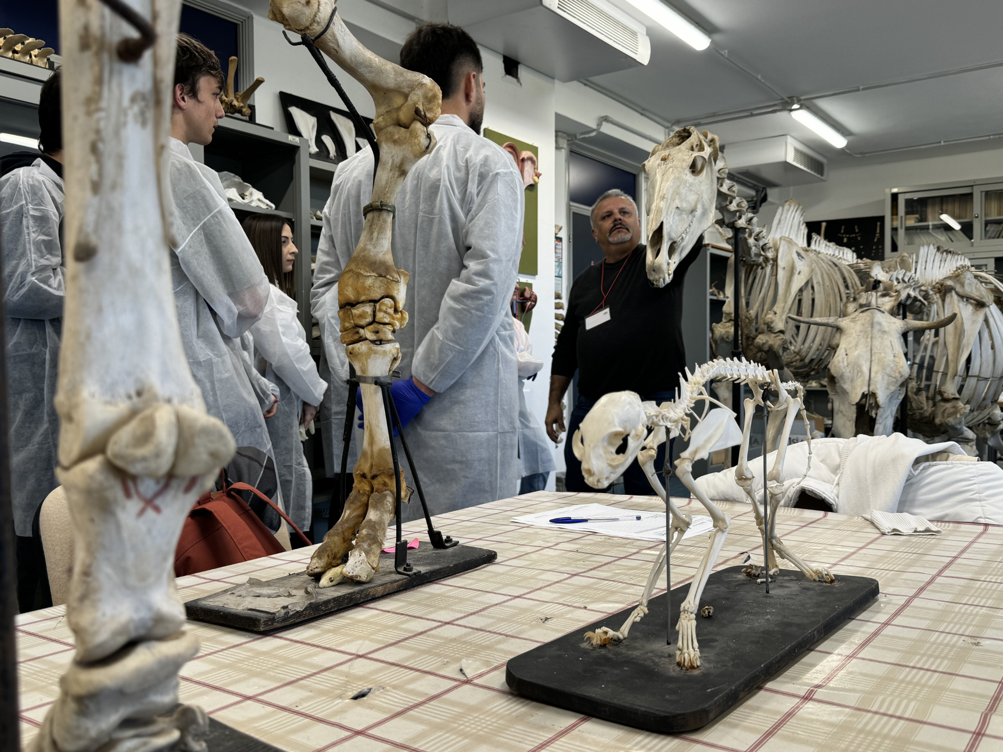 Studenti in camice osservano scheletri e preparati anatomici mentre il docente conduce una spiegazione