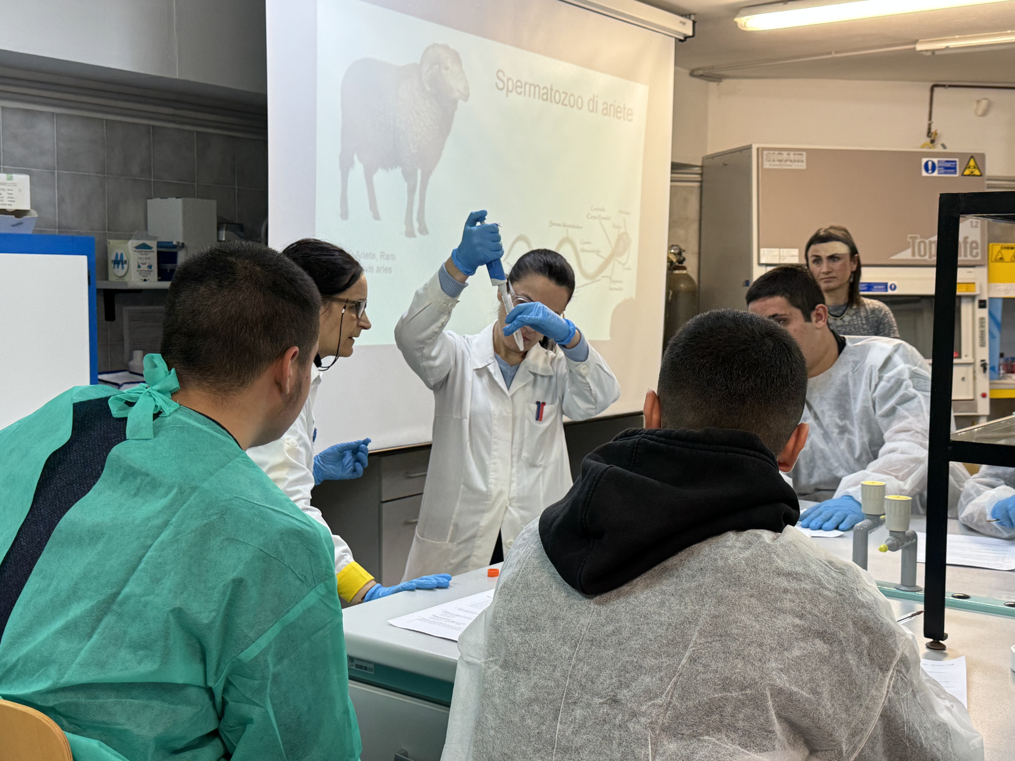 Una docente dimostra l’uso della pipetta durante un’attività pratica dedicata agli spermatozoi di ariete