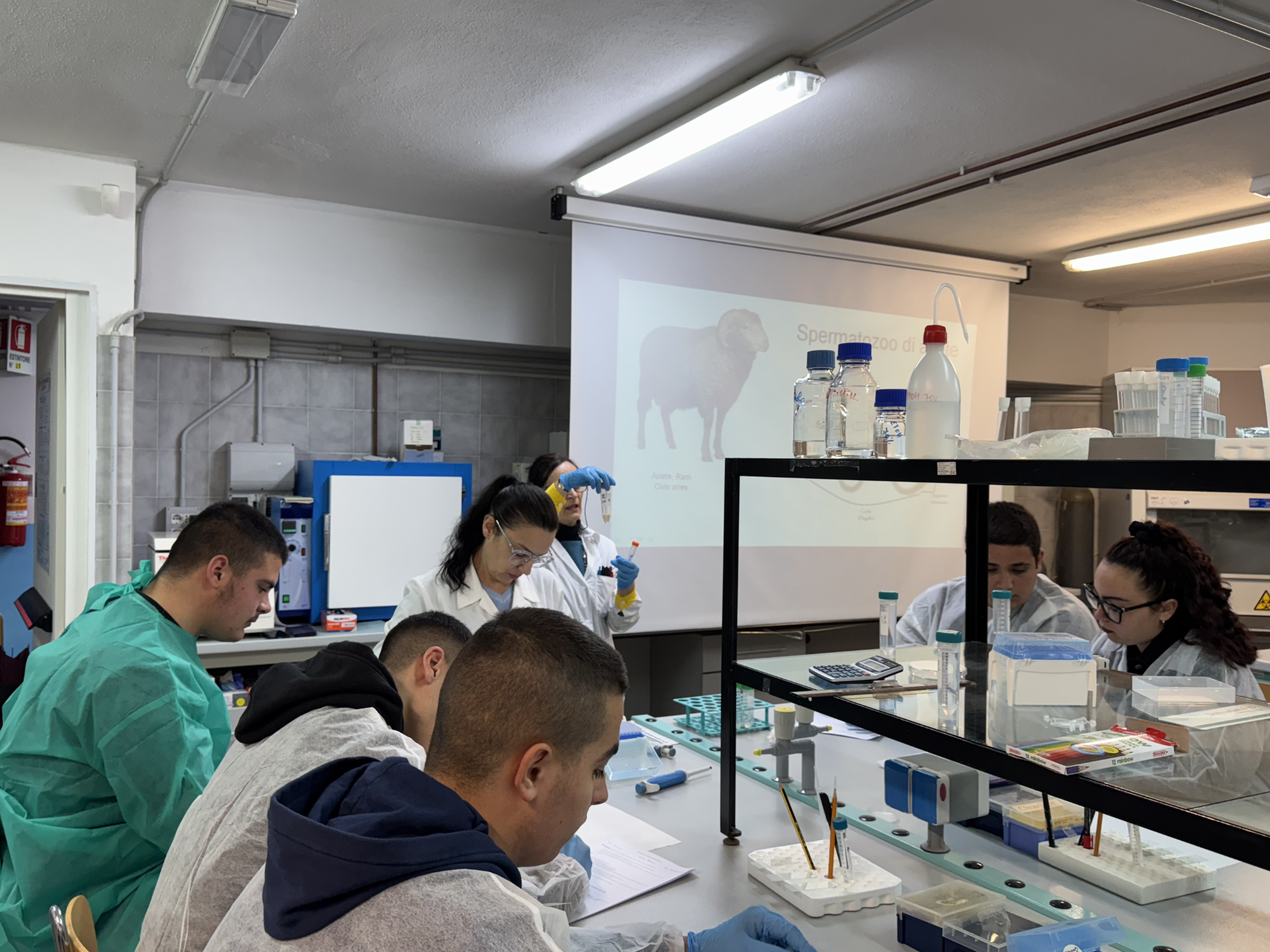 Studentesse e studenti svolgono un’esercitazione al banco con provette, pipette e materiali da laboratorio