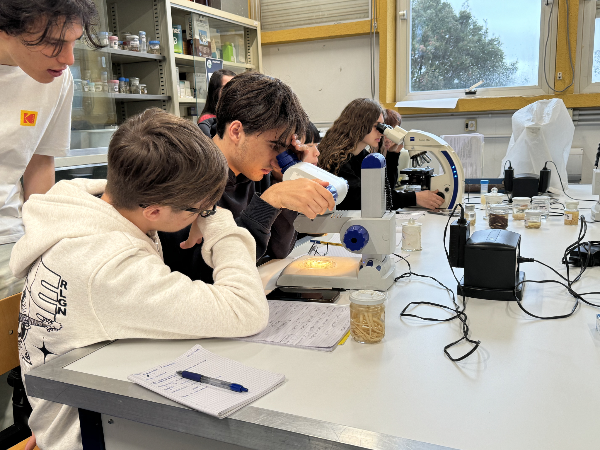 Studenti osservano campioni al microscopio durante un’esercitazione pratica nel laboratorio di parassitologia