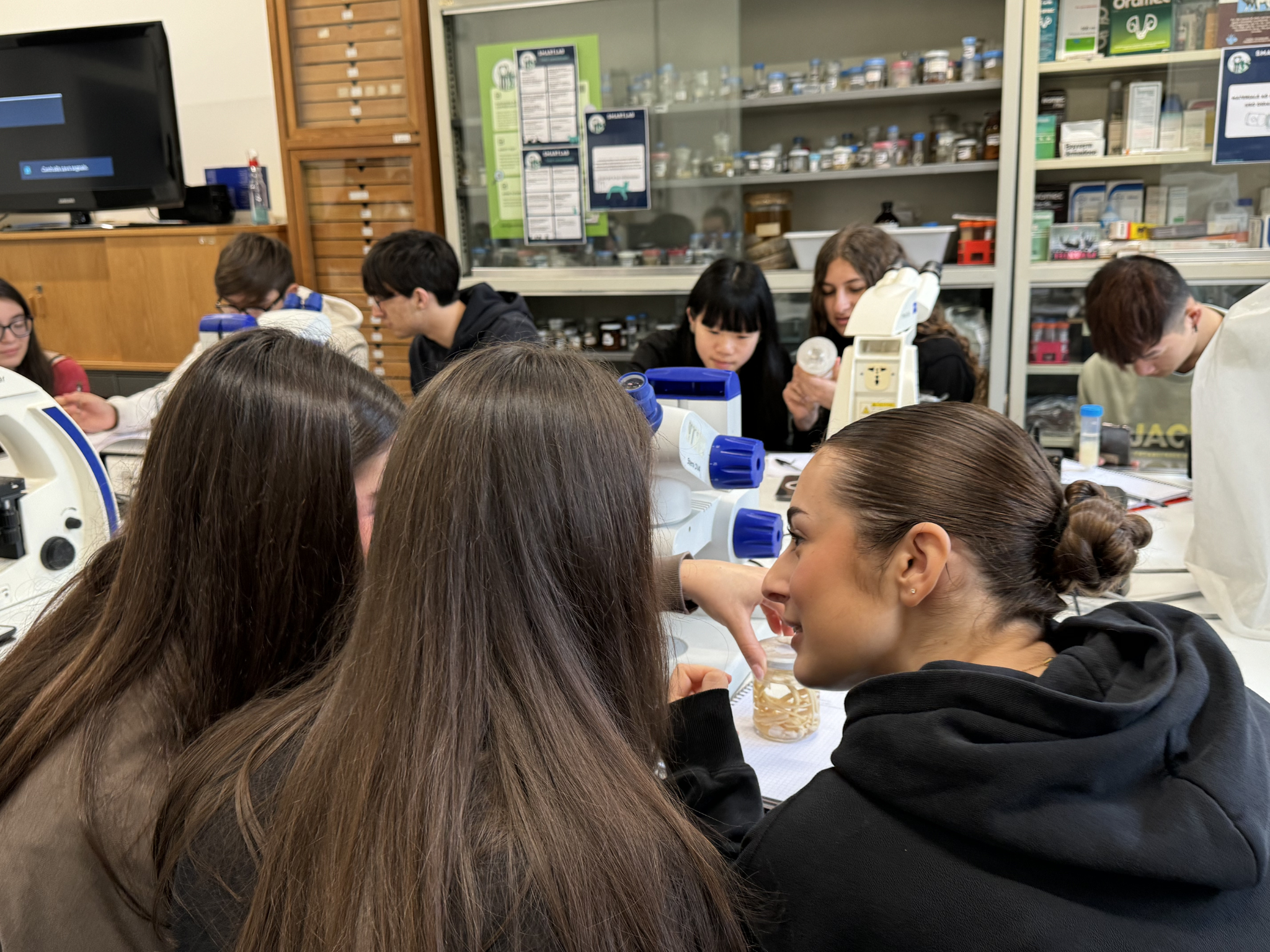 Studentesse e studenti osservano campioni e reperti parassitologici al microscopio durante un’attività pratica di laboratorio