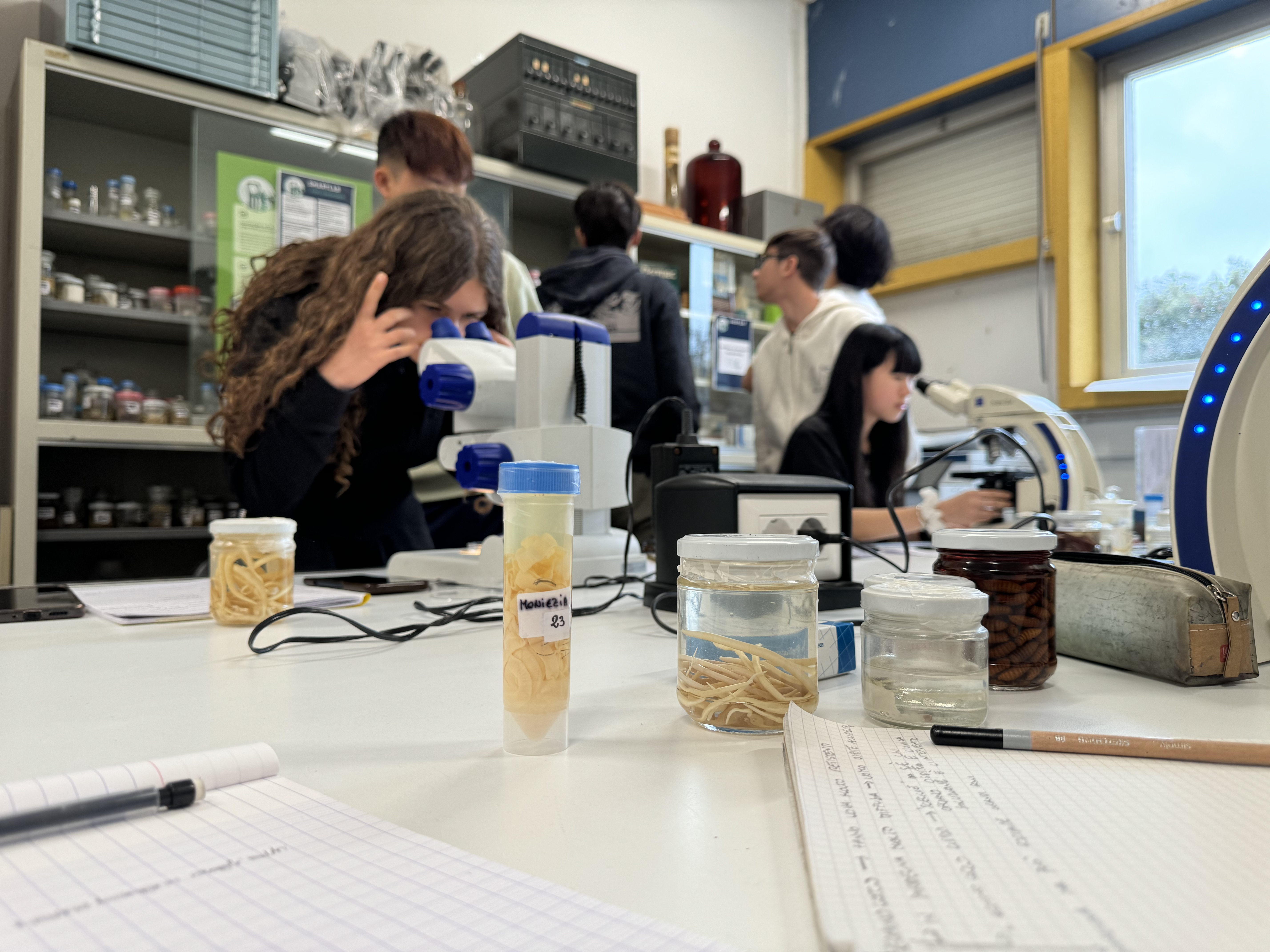 Studenti utilizzano microscopi per analizzare campioni, con contenitori di parassiti conservati in primo piano