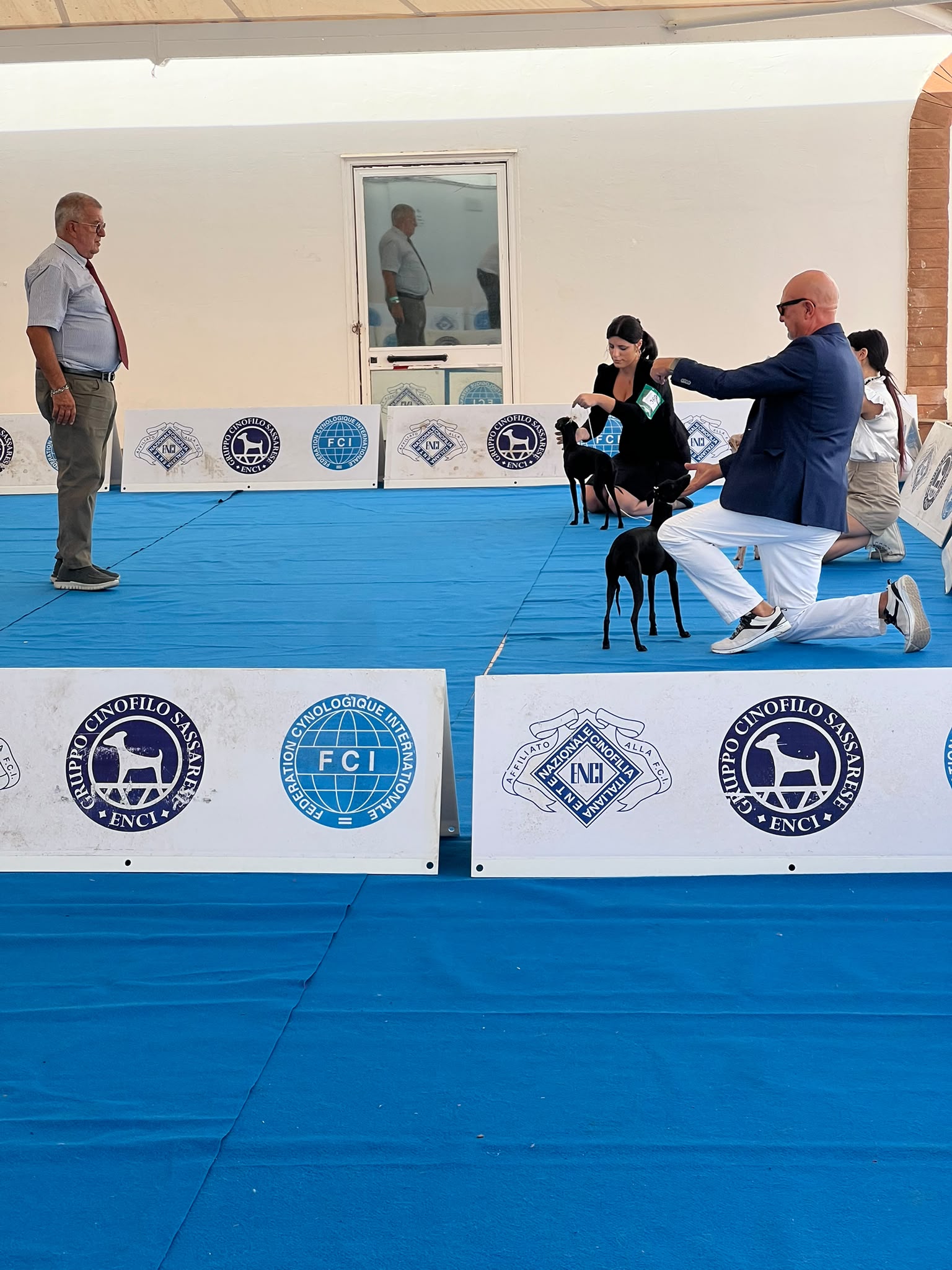 Un giudice osserva alcuni piccoli levrieri presentati dai conduttori inginocchiati nel ring dell’Expo internazionale canina.