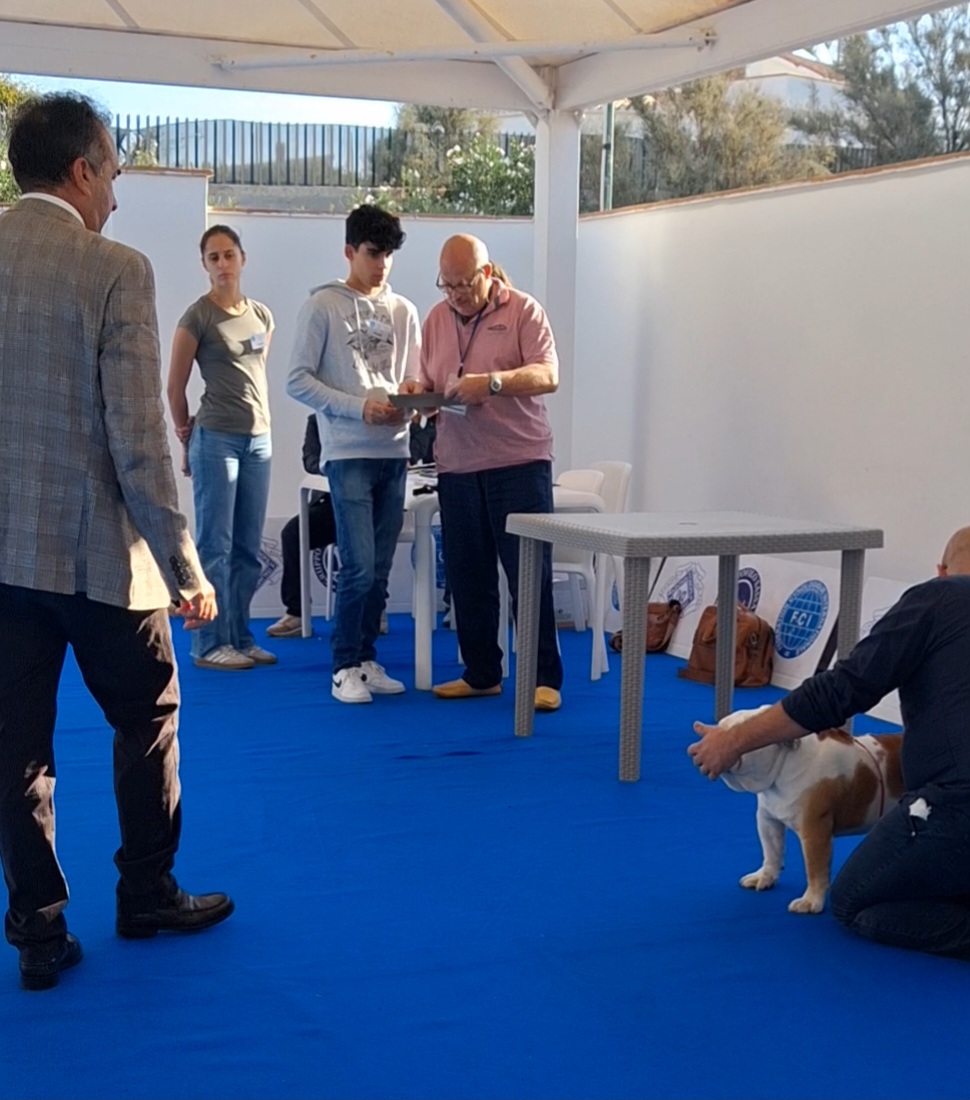 Uno studente di VetSassari consulta un documento insieme a un addetto nel ring dell’Expo internazionale canina, mentre un cane viene presentato al giudice.