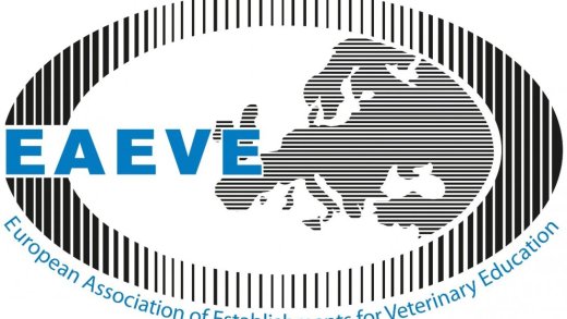 logo EAEVE 