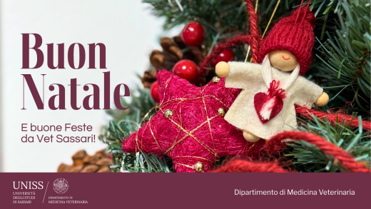 Auguri di Buon Natale