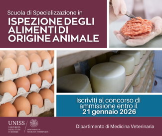 Locandina del Concorso di ammissione alla scuola di specializzazione in Ispezione degli alimenti di origine animale