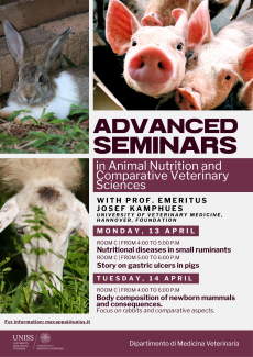 Locandina con il programma del Ciclo di seminari tenuti dal professor Josef Kamphues 