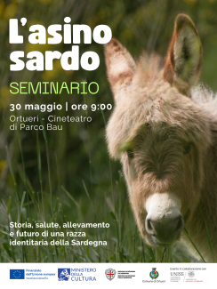 Locandina Seminario Asino Sardo 30 maggio Ortueri