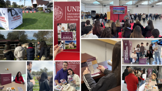 Collage delle attività di orientamento del Dipartimento di Medicina Veterinaria: incontri con studentesse e studenti, visite alle strutture, presentazioni dei corsi, stand informativi e distribuzione di materiali durante le Giornate dell’Orientamento.